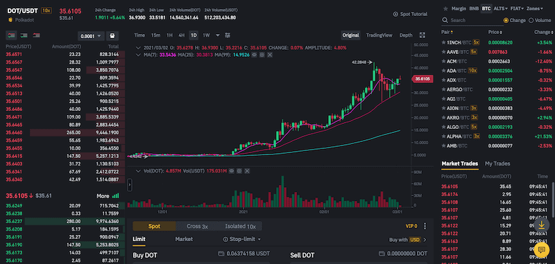 Polkadot instrument page Binance